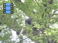 MOV04463