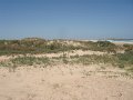 UrUgUaY_-_CaBo_PoLoNiO_07