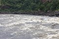 IMG_2557