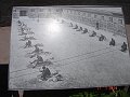 South_Africa_-_Robben_Island_31