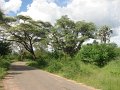 DSC02925