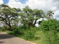 DSC02926