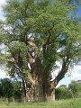 DSC02927