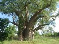 DSC02928