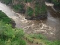 DSC02949