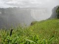 DSC03053