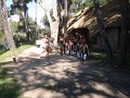 DSC03181