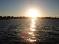 DSC03208