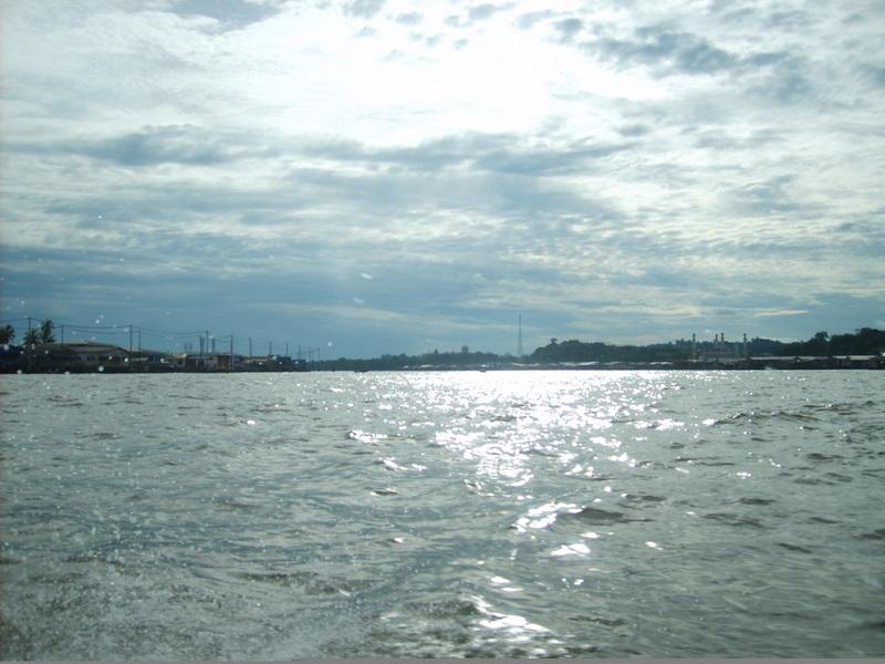 S5001558.JPG