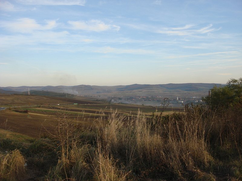 DSC09839.JPG