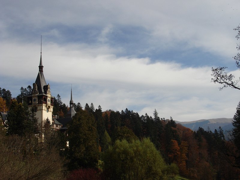 DSC09889.JPG