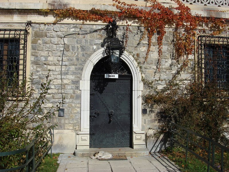 DSC09902.JPG