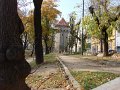 DSC00029