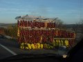 DSC09853