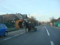 DSC09861