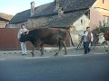 DSC09866