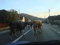 DSC09869