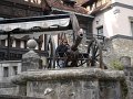 DSC09891