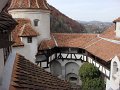 DSC09955