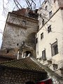 DSC09980