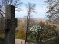 DSC09981